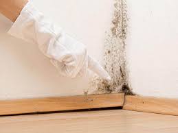 Environmental Consulting for Mold Prevention in Wellsville, OH